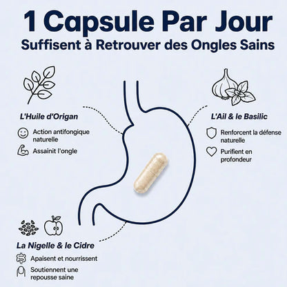 Mycovital™ | Huile d'Origan & de Nigelle – Élimine la Mycose des Ongles